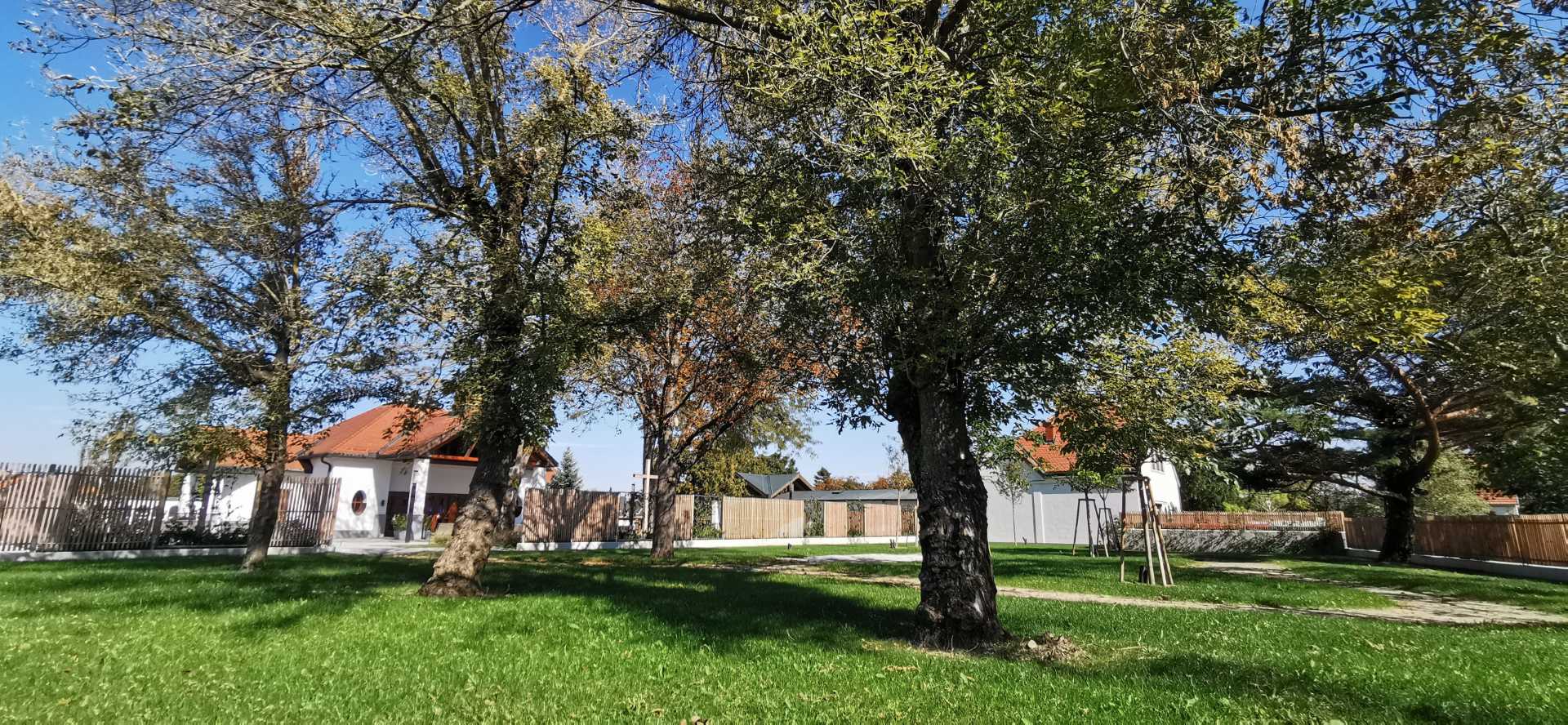 Baumbestattung Wiener Neudorf