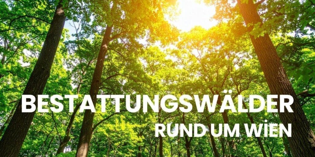 Bestattungswälder bei Wien: Alle naturnahen Ruhestätten im Überblick (2026)